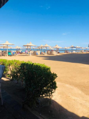 Turtles beach 604